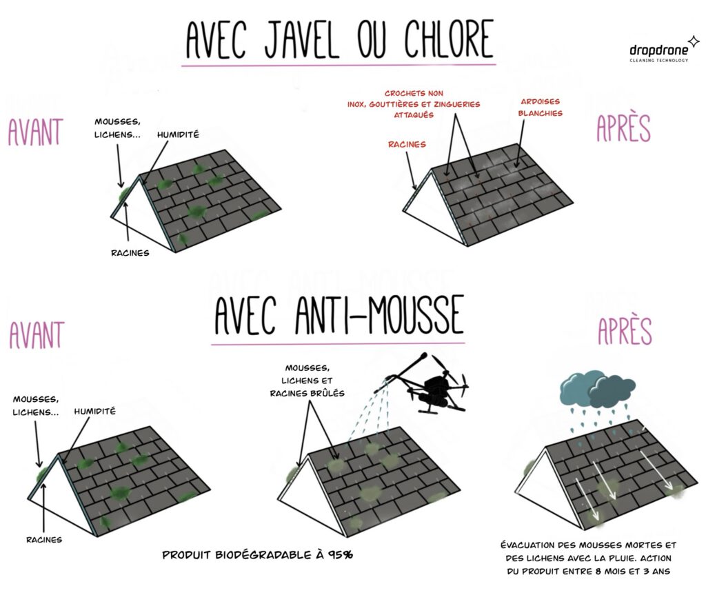 Quel est le meilleur produit pour le démoussage d’une toiture ?